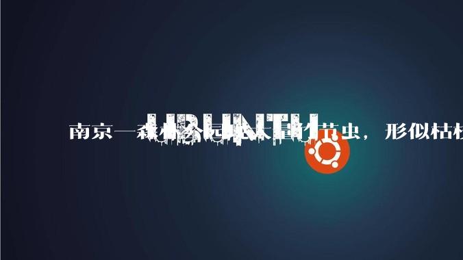 南京一森林公园现大量竹节虫，形似枯枝，网友称凑近才发现是虫子落荒而逃，竹节虫会不会咬人？碰到它会怎样？