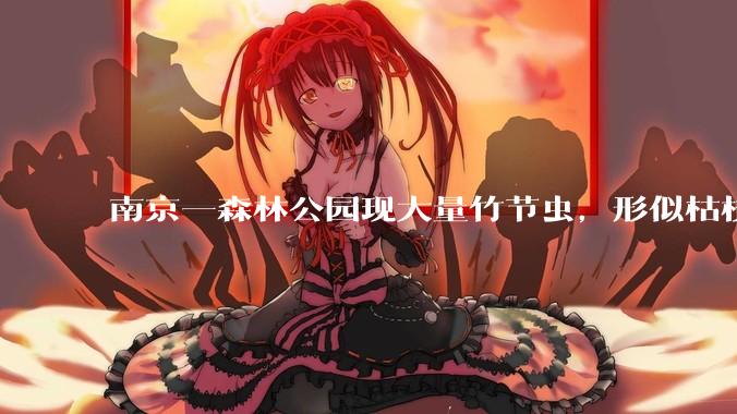 南京一森林公园现大量竹节虫，形似枯枝，网友称凑近才发现是虫子落荒而逃，竹节虫会不会咬人？碰到它会怎样？