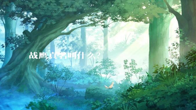 战鹰真名叫什么？