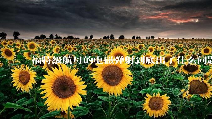 福特级航母的电磁弹射到底出了什么问题？