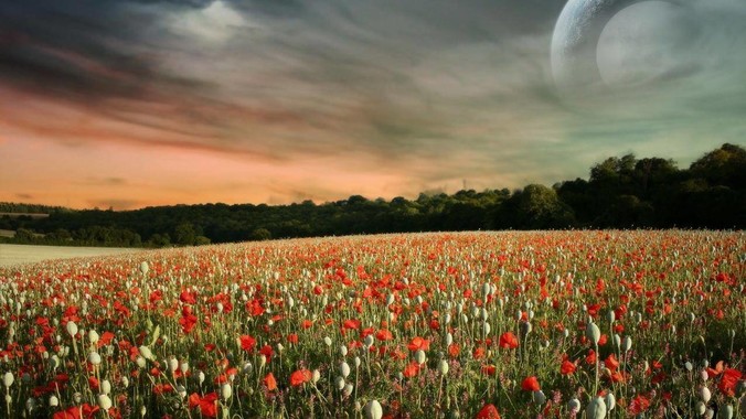 为什么很多公司都不招大龄码农？